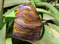Polished Golden River Tigers Eye Standing Free Forms x 2 From Prieska, South Africa - Toprock Gemstones and Minerals 