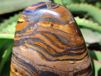 Polished Golden River Tigers Eye Standing Free Forms x 2 From Prieska, South Africa - Toprock Gemstones and Minerals 