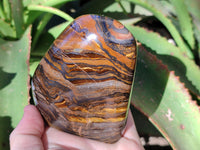 Polished Golden River Tigers Eye Standing Free Forms x 2 From Prieska, South Africa - Toprock Gemstones and Minerals 