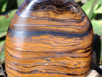 Polished Golden River Tigers Eye Standing Free Forms x 2 From Prieska, South Africa - Toprock Gemstones and Minerals 