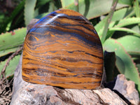 Polished Golden River Tigers Eye Standing Free Forms x 2 From Prieska, South Africa - Toprock Gemstones and Minerals 