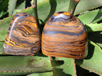 Polished Golden River Tigers Eye Standing Free Forms x 2 From Prieska, South Africa - Toprock Gemstones and Minerals 