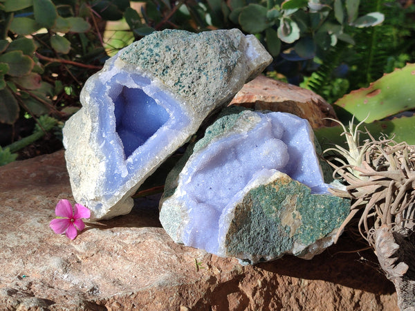 Natural Blue Lace Agate Geodes x 2 From Nsanje, Malawi