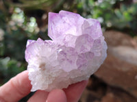 Natural Sunburst Amethyst Spirit Quartz Clusters x 6 From South Africa - Toprock Gemstones and Minerals 