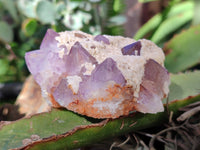 Natural Sunburst Amethyst Spirit Quartz Clusters x 6 From South Africa - Toprock Gemstones and Minerals 