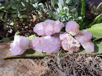 Natural Sunburst Amethyst Spirit Quartz Clusters x 6 From South Africa - Toprock Gemstones and Minerals 
