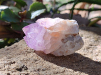 Natural Sunburst Amethyst Spirit Quartz Clusters x 6 From South Africa - Toprock Gemstones and Minerals 