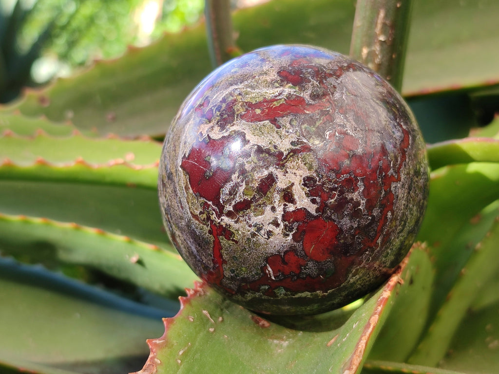 Polished Bastite Dragons Blood Stone Sphere-Ball x 3 From Tshipise, South Africa - Toprock Gemstones and Minerals 