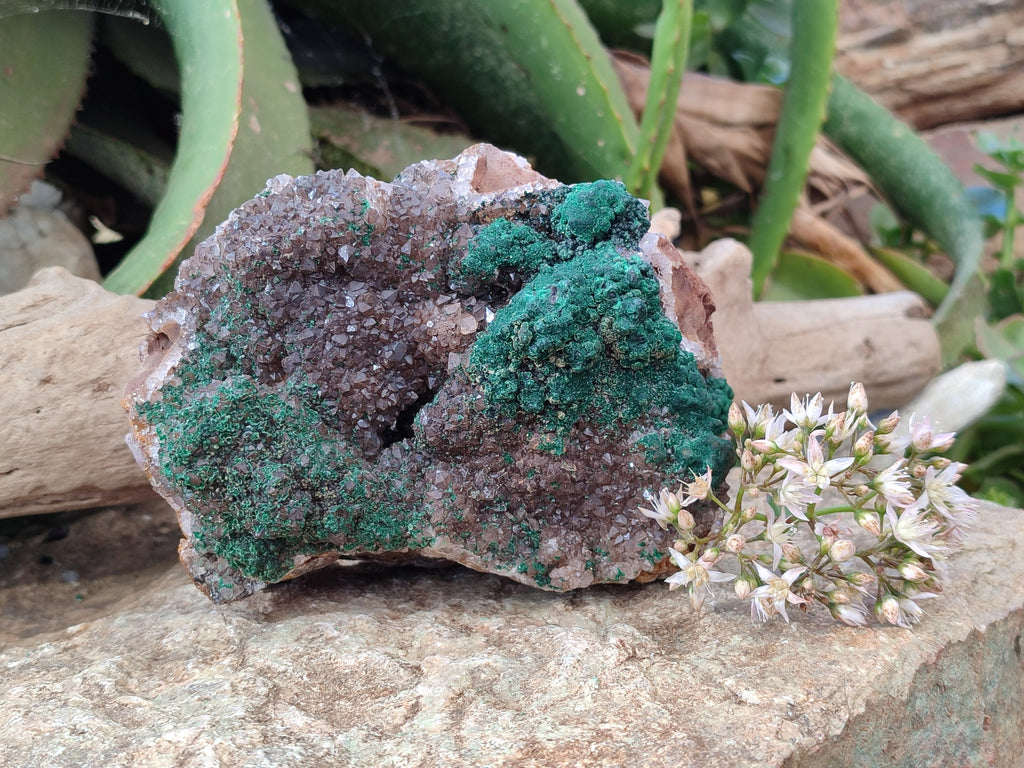 Natural Ball Malachite On Drusy Smokey Quartz and Dolomite Matrix Specimen x 1 From Kambove, Congo - Toprock Gemstones and Minerals 