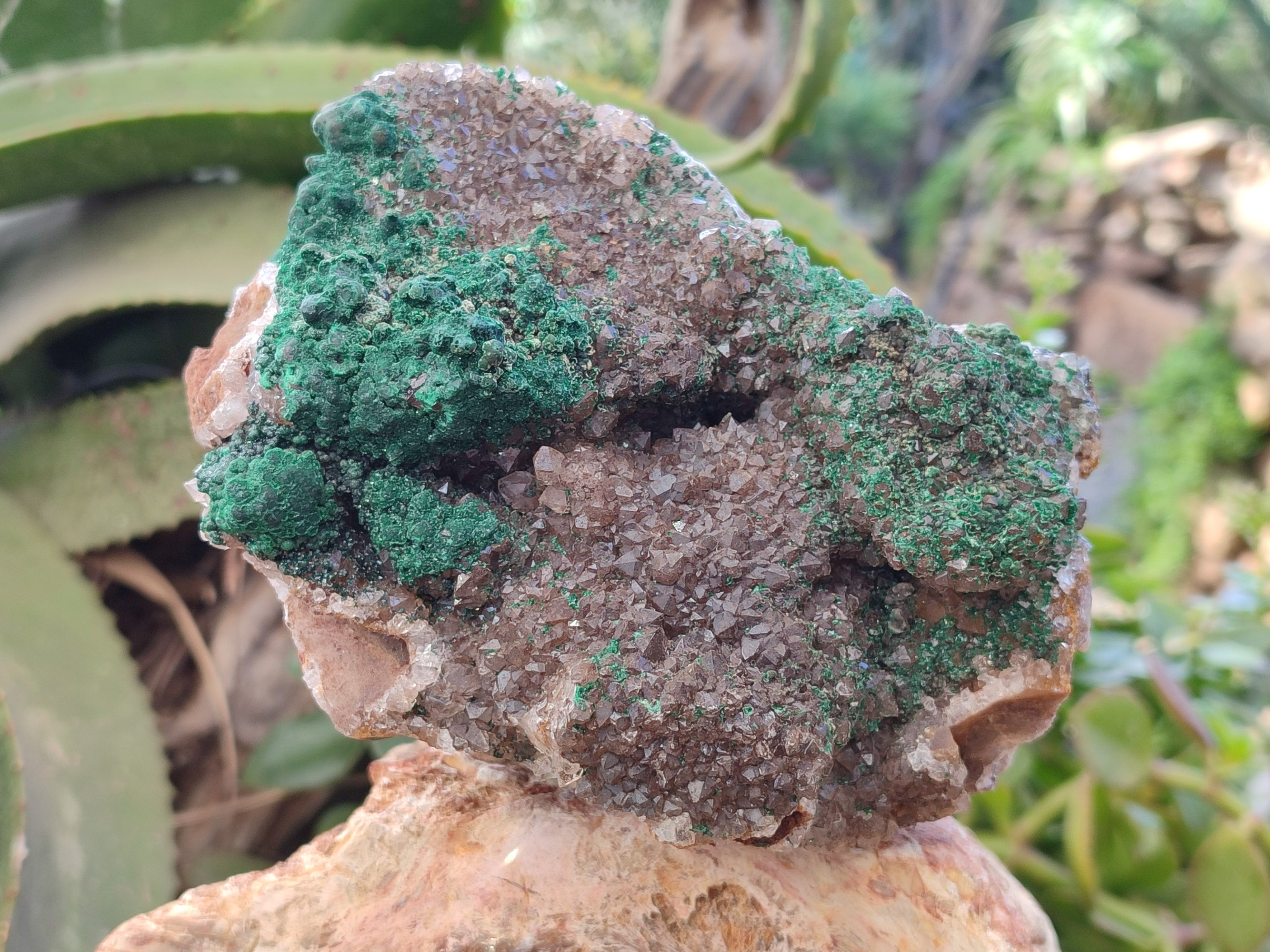Natural Ball Malachite On Drusy Smokey Quartz and Dolomite Matrix Specimen x 1 From Kambove, Congo - Toprock Gemstones and Minerals 