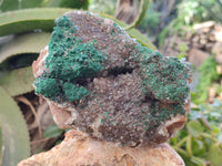 Natural Ball Malachite On Drusy Smokey Quartz and Dolomite Matrix Specimen x 1 From Kambove, Congo