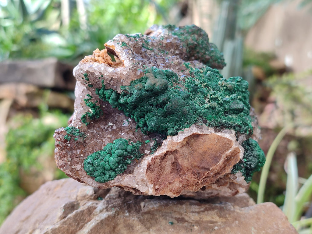 Natural Ball Malachite On Drusy Smokey Quartz and Dolomite Matrix Specimen x 1 From Kambove, Congo - Toprock Gemstones and Minerals 