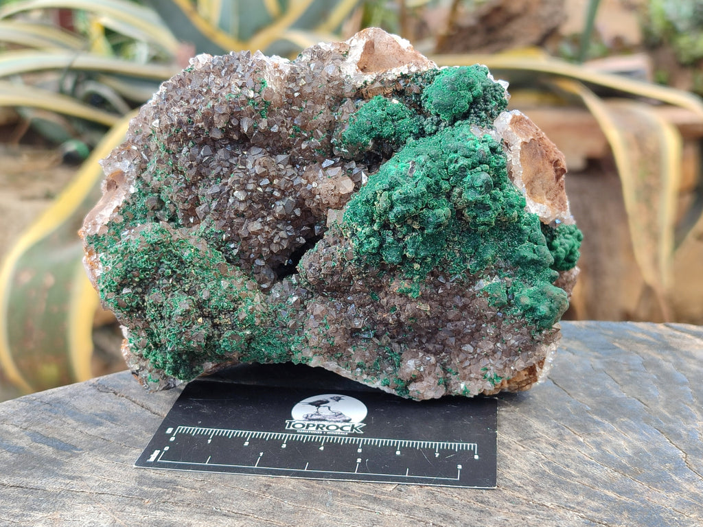 Natural Ball Malachite On Drusy Smokey Quartz and Dolomite Matrix Specimen x 1 From Kambove, Congo - Toprock Gemstones and Minerals 