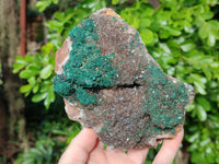 Natural Ball Malachite On Drusy Smokey Quartz and Dolomite Matrix Specimen x 1 From Kambove, Congo