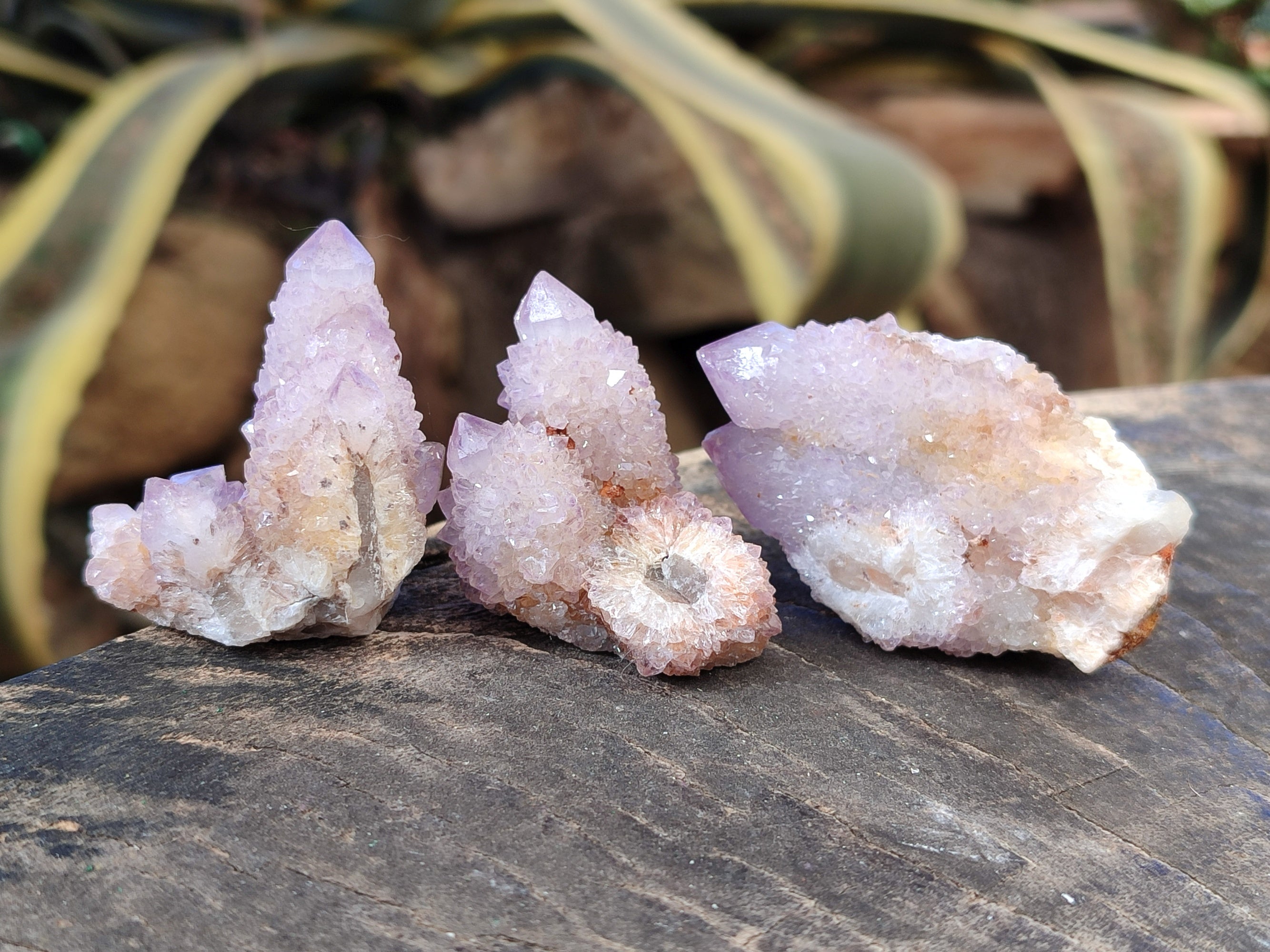 Natural Lilac Spirit Quartz Clusters x 24 From South Africa - Toprock Gemstones and Minerals 