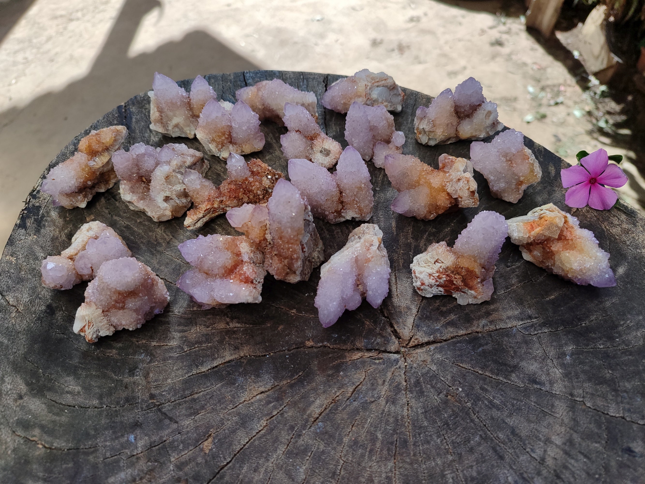 Natural Lilac Spirit Quartz Clusters x 24 From South Africa - Toprock Gemstones and Minerals 