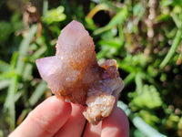 Natural Lilac Spirit Quartz Clusters x 24 From South Africa - Toprock Gemstones and Minerals 