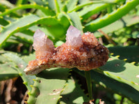 Natural Lilac Spirit Quartz Clusters x 24 From South Africa - Toprock Gemstones and Minerals 