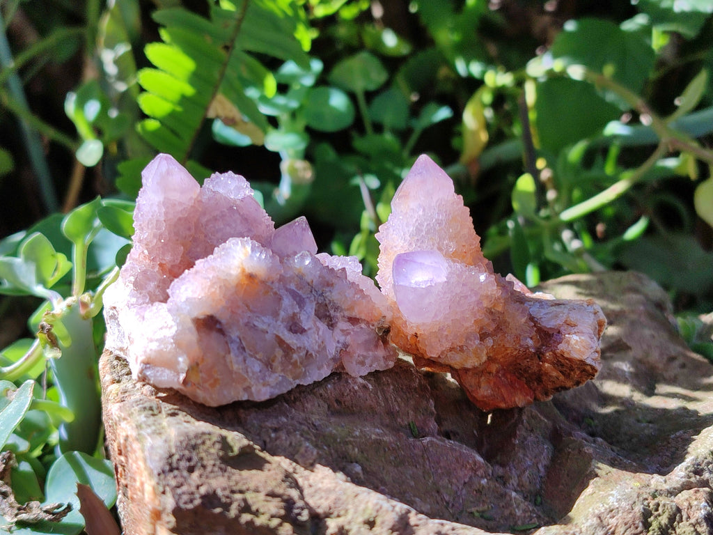 Natural Lilac Spirit Quartz Clusters x 24 From South Africa - Toprock Gemstones and Minerals 