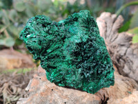 Natural Silky Malachite Specimens x 3 From Kasompe, Congo - Toprock Gemstones and Minerals 