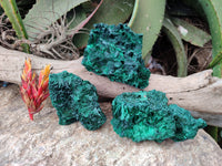 Natural Silky Malachite Specimens x 3 From Kasompe, Congo - Toprock Gemstones and Minerals 