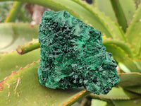 Natural Silky Malachite Specimens x 3 From Kasompe, Congo - Toprock Gemstones and Minerals 