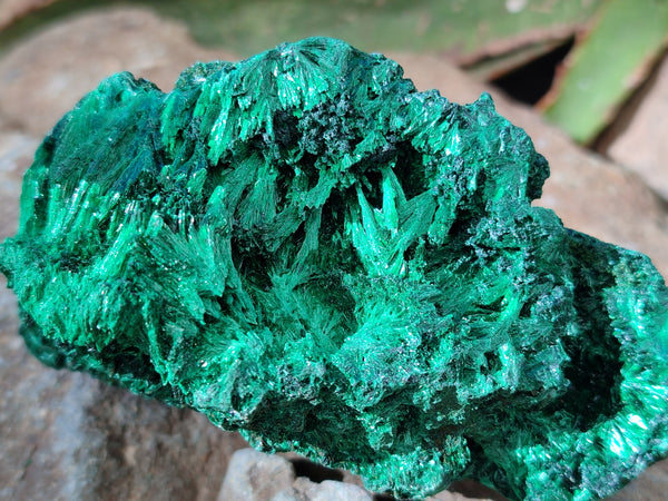 Natural Silky Malachite Specimens x 3 From Kasompe, Congo