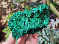 Natural Silky Malachite Specimens x 3 From Kasompe, Congo - Toprock Gemstones and Minerals 