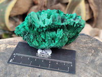 Natural Silky Malachite Specimens x 3 From Kasompe, Congo - Toprock Gemstones and Minerals 