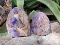 Polished Chevron Amethyst Standing Free Form x 3 From Ankazobe, Madagascar - Toprock Gemstones and Minerals 