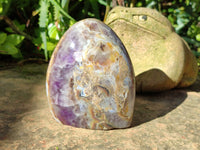 Polished Chevron Amethyst Standing Free Form x 3 From Ankazobe, Madagascar - Toprock Gemstones and Minerals 
