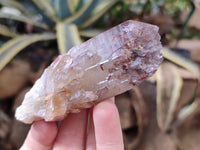 Natural Red Hematoid Quartz Clusters x 12 From Karoi, Zimbabwe