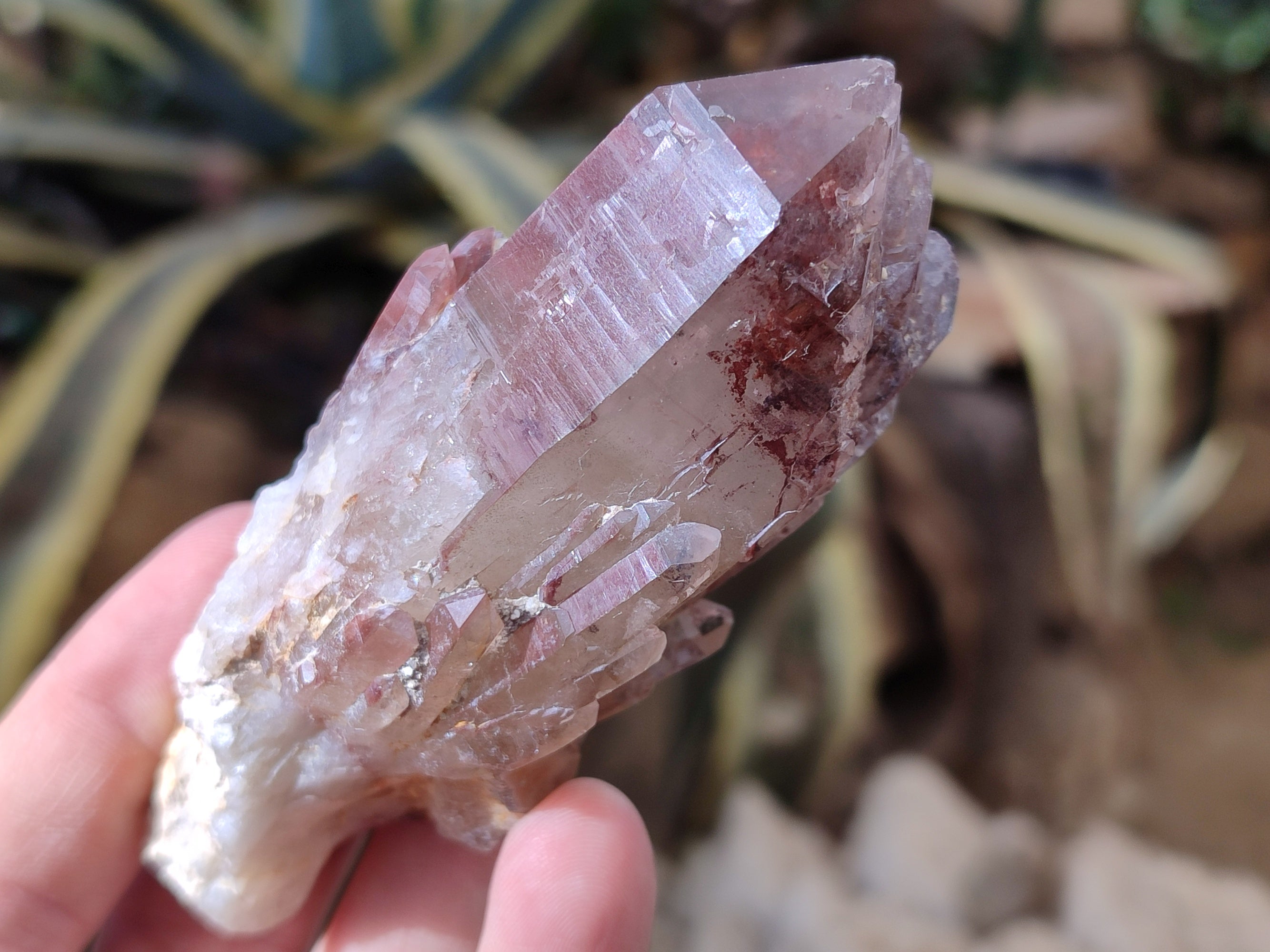 Natural Red Hematoid Quartz Clusters x 12 From Karoi, Zimbabwe - Toprock Gemstones and Minerals 