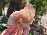 Natural Red Hematoid Quartz Clusters x 12 From Karoi, Zimbabwe
