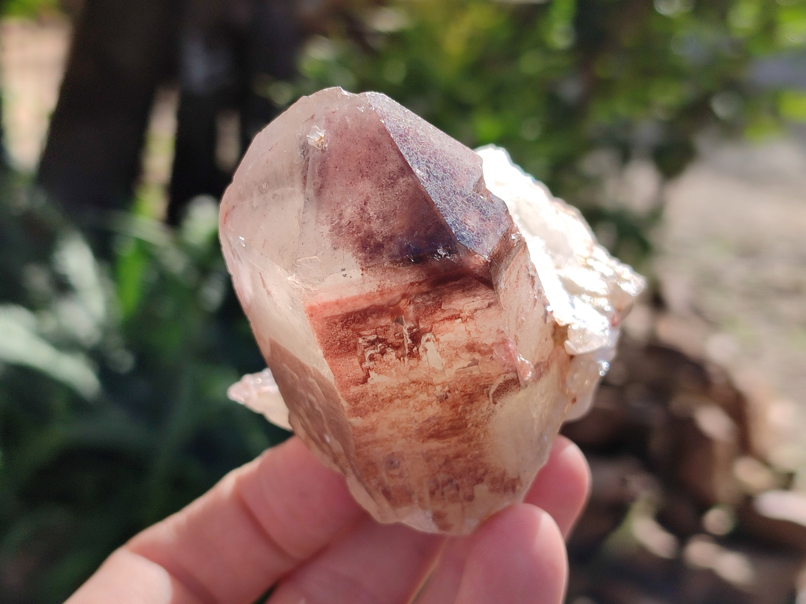 Natural Red Hematoid Quartz Clusters x 12 From Karoi, Zimbabwe - Toprock Gemstones and Minerals 