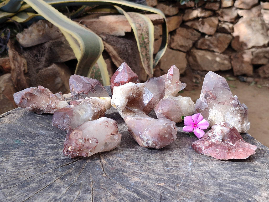 Natural Red Hematoid Quartz Clusters x 12 From Karoi, Zimbabwe - Toprock Gemstones and Minerals 