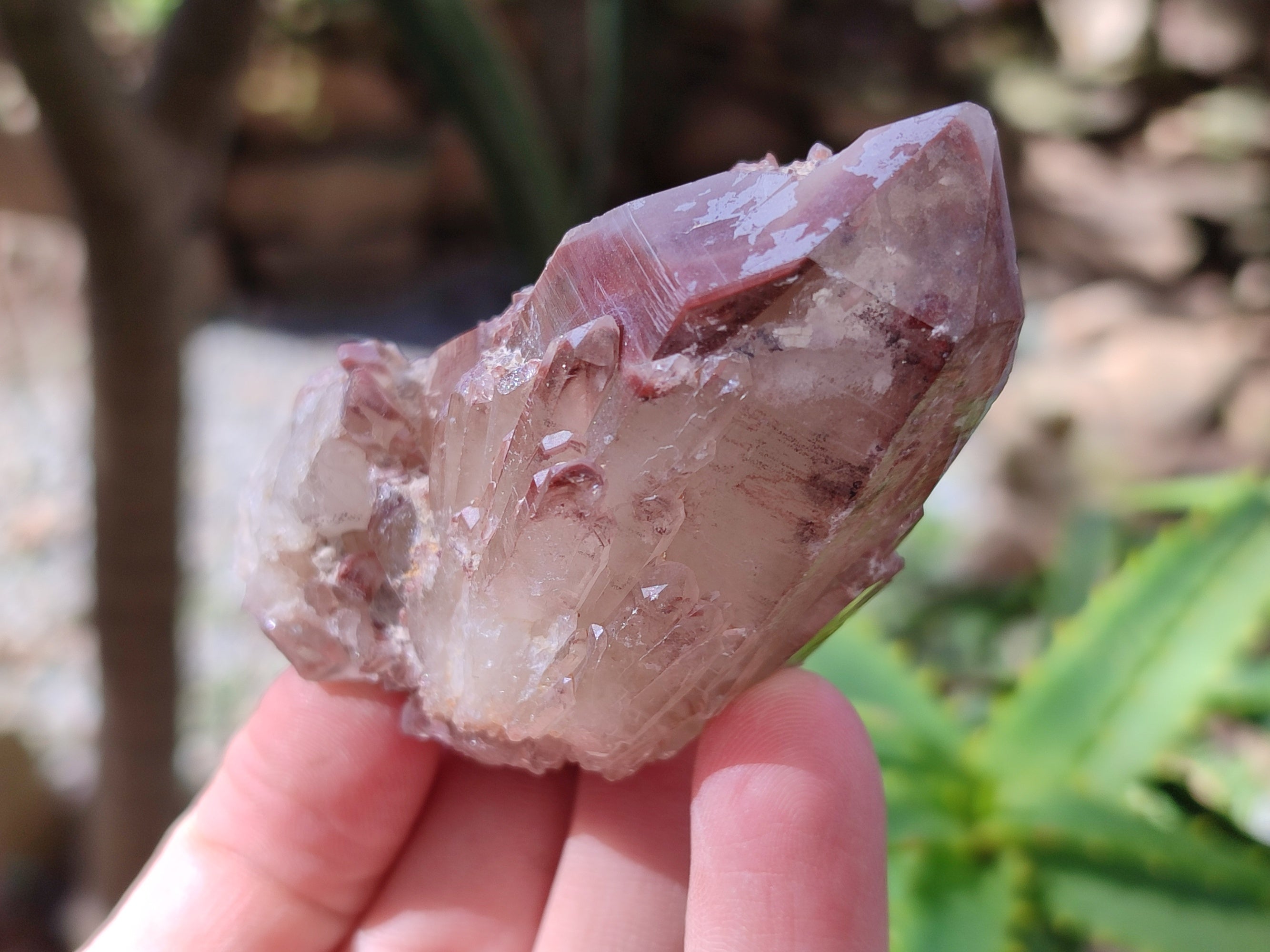Natural Red Hematoid Quartz Clusters x 12 From Karoi, Zimbabwe - Toprock Gemstones and Minerals 