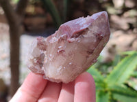 Natural Red Hematoid Quartz Clusters x 12 From Karoi, Zimbabwe