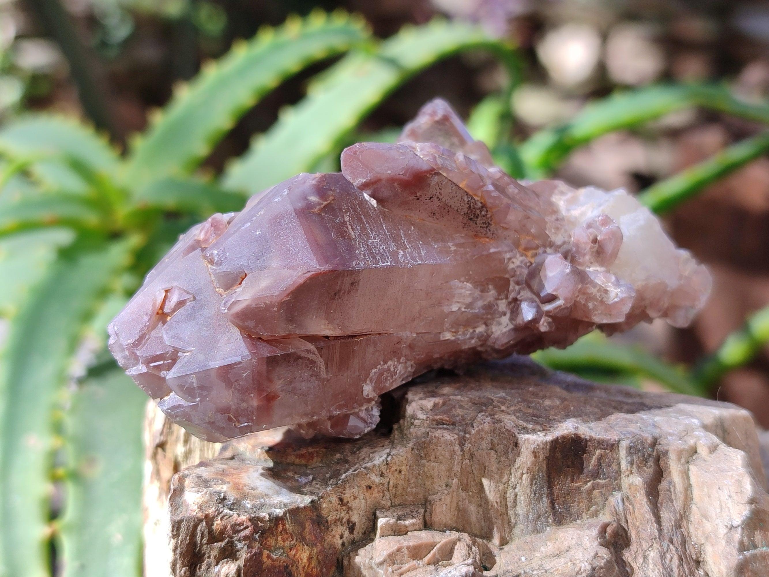 Natural Red Hematoid Quartz Clusters x 12 From Karoi, Zimbabwe - Toprock Gemstones and Minerals 
