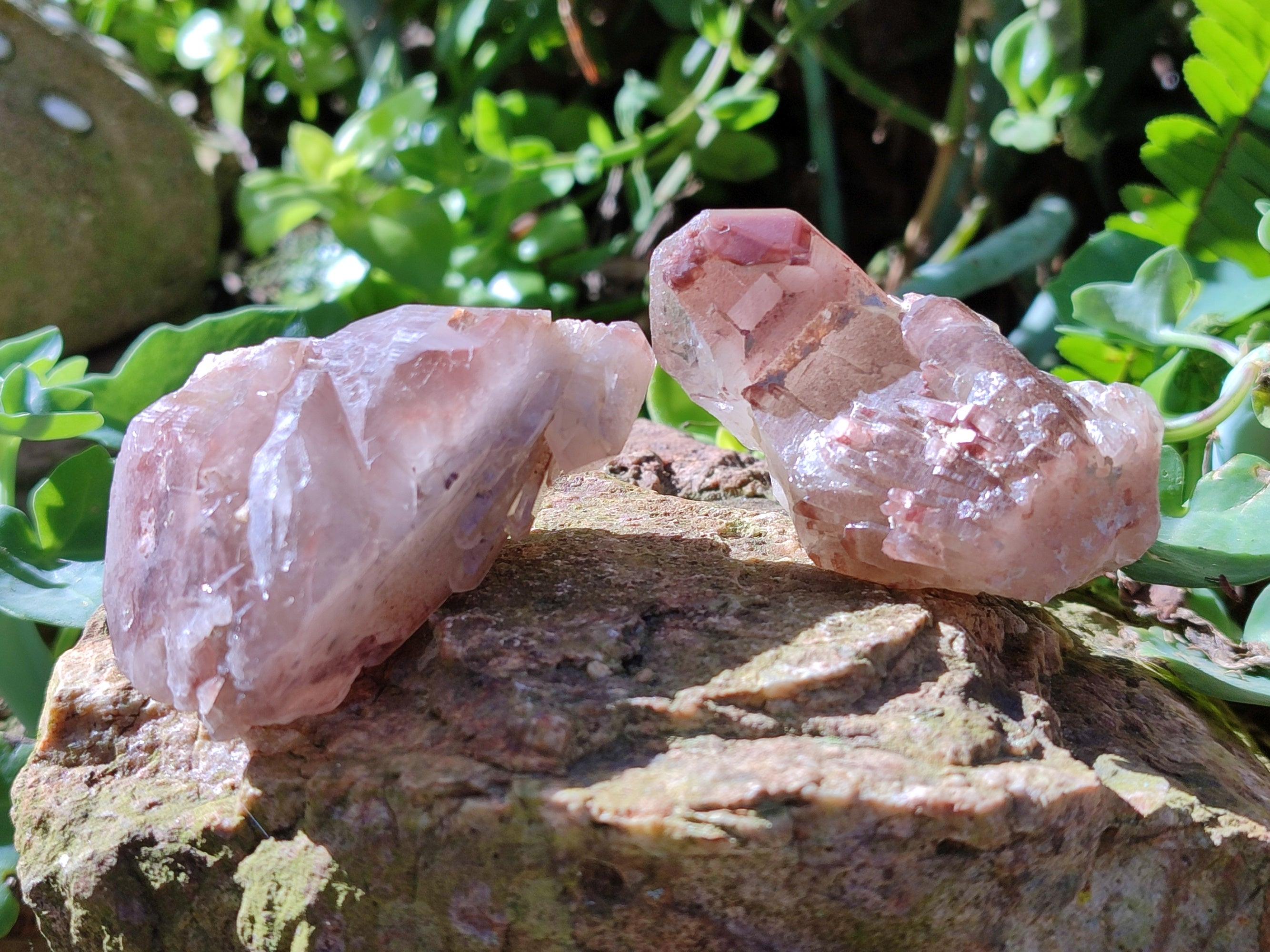 Natural Red Hematoid Quartz Clusters x 12 From Karoi, Zimbabwe - Toprock Gemstones and Minerals 