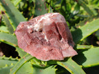 Natural Red Hematoid Quartz Clusters x 12 From Karoi, Zimbabwe - Toprock Gemstones and Minerals 