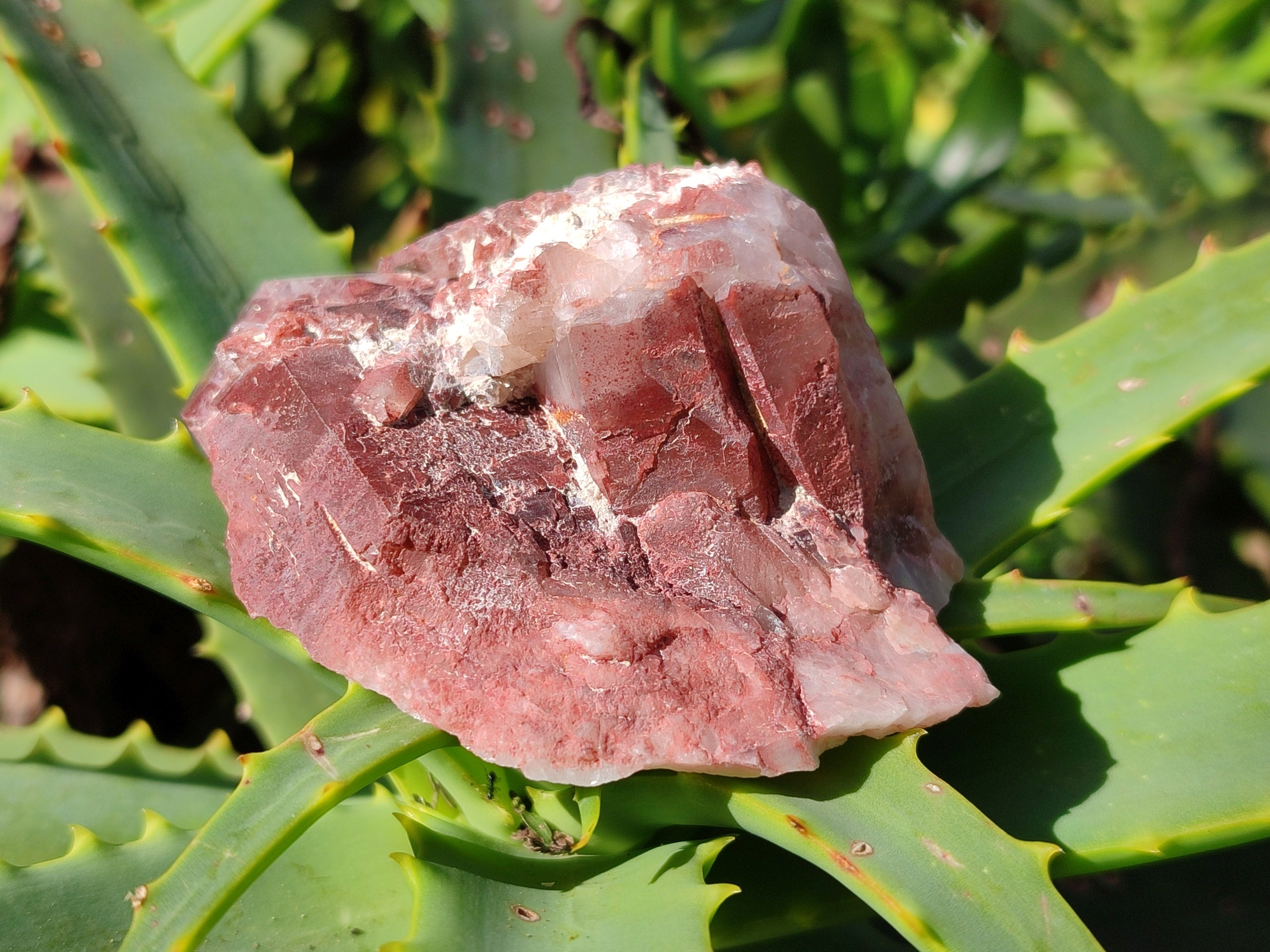 Natural Red Hematoid Quartz Clusters x 12 From Karoi, Zimbabwe - Toprock Gemstones and Minerals 