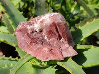 Natural Red Hematoid Quartz Clusters x 12 From Karoi, Zimbabwe