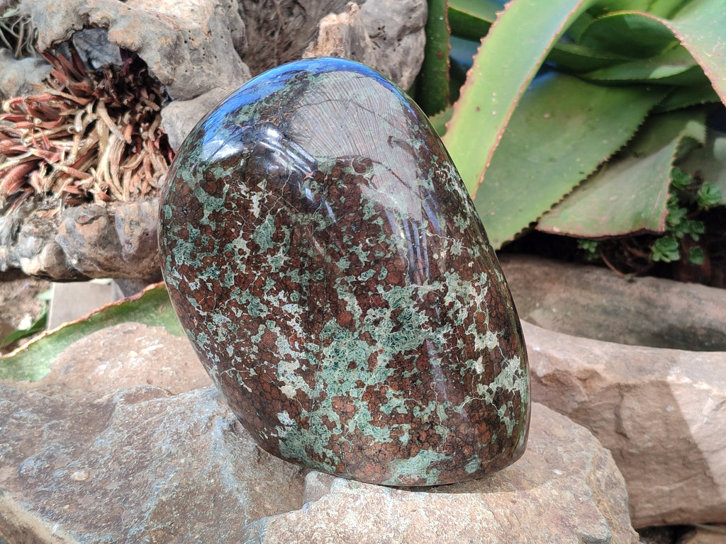 Polished Eclogite Standing Free Form x 1 From Northern Cape, South Africa - Toprock Gemstones and Minerals 