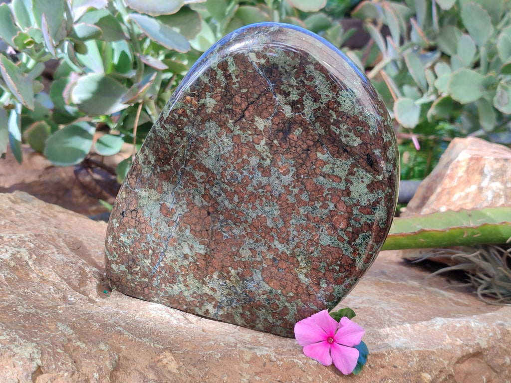 Polished Eclogite Standing Free Form x 1 From Northern Cape, South Africa - Toprock Gemstones and Minerals 
