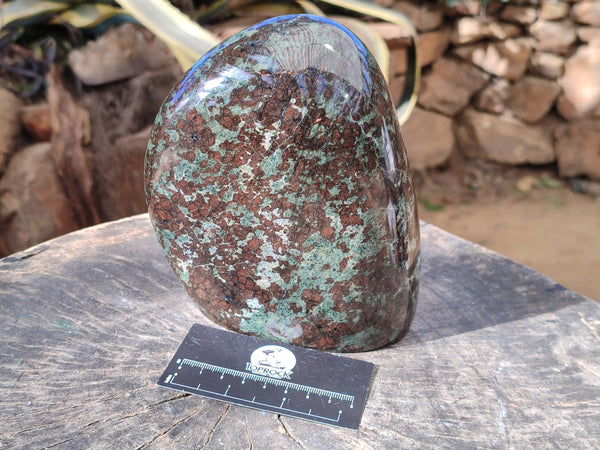 Polished Eclogite Standing Free Form x 1 From Northern Cape, South Africa