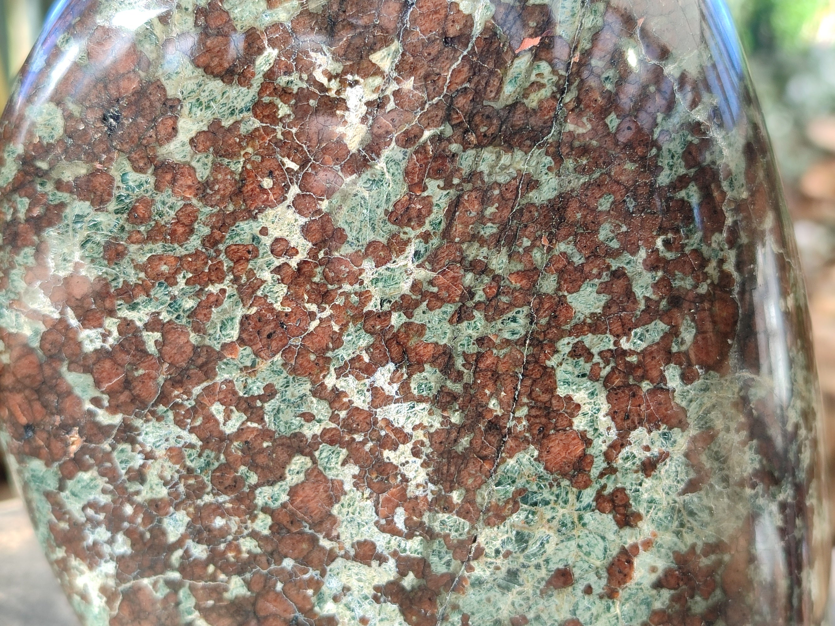 Polished Eclogite Standing Free Form x 1 From Northern Cape, South Africa - Toprock Gemstones and Minerals 