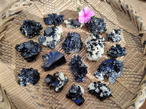 Natural Schorl Black Tourmaline Terminated Crystal Specimens on Orthoclase Matrix x 20 From Erongo, Namibia