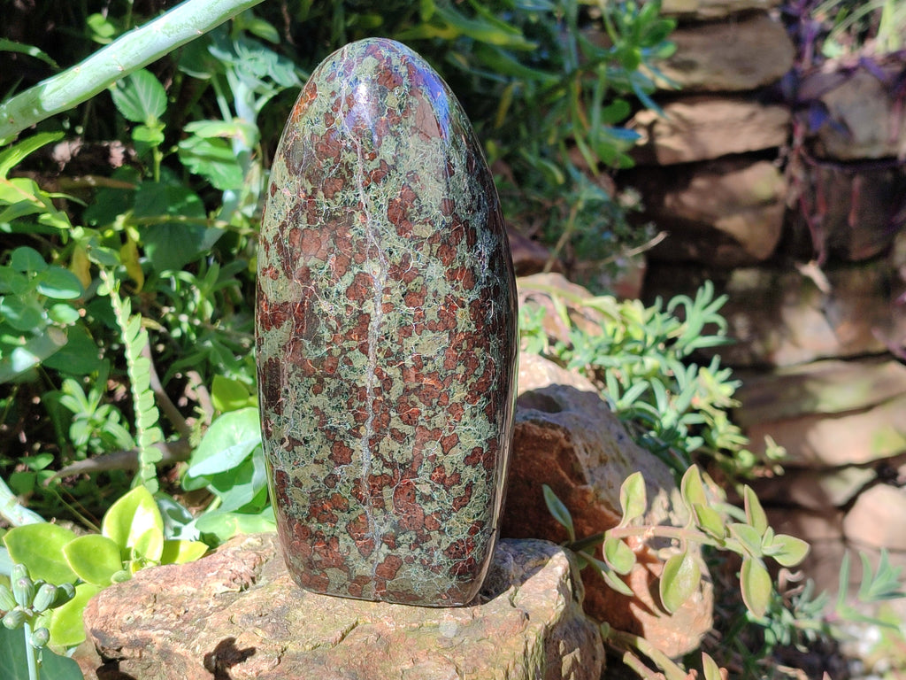 Polished Eclogite Standing Free Form x 1 From Northern Cape, South Africa - Toprock Gemstones and Minerals 