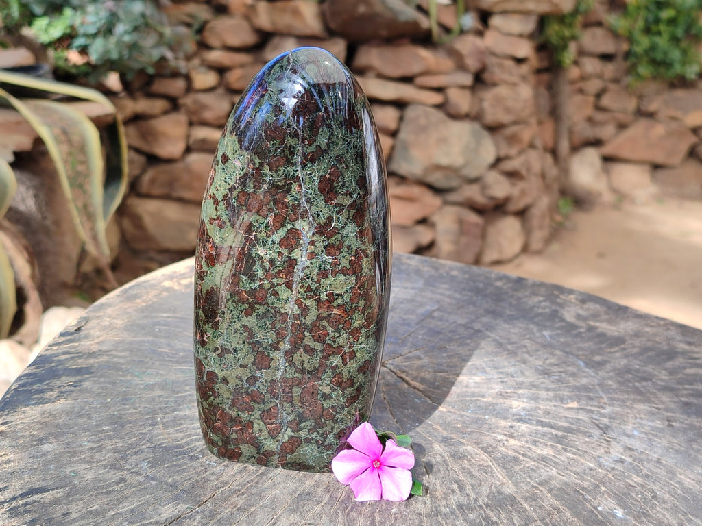 Polished Eclogite Standing Free Form x 1 From Northern Cape, South Africa - Toprock Gemstones and Minerals 